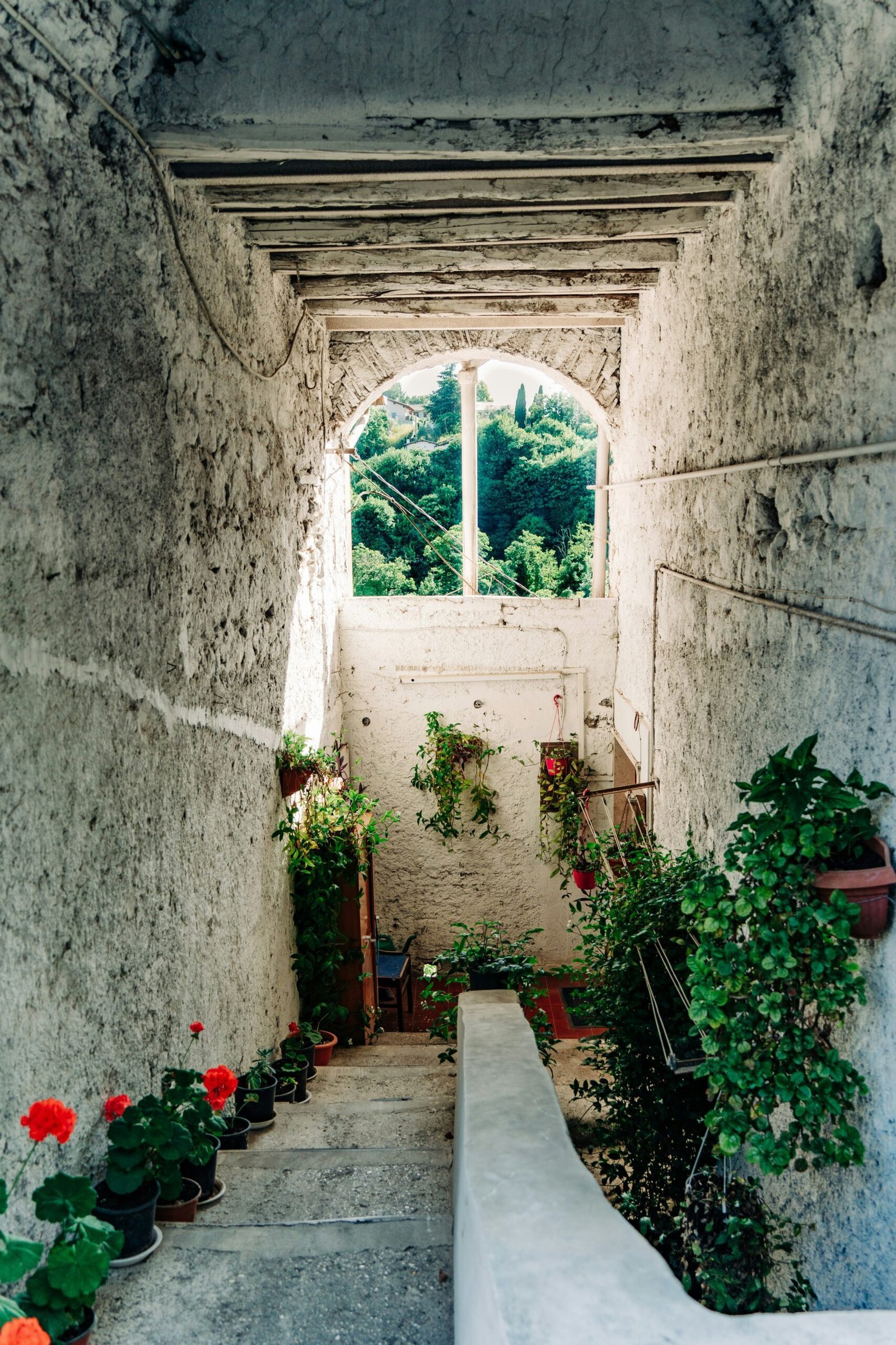 a narrow hallway with potted plants and a window